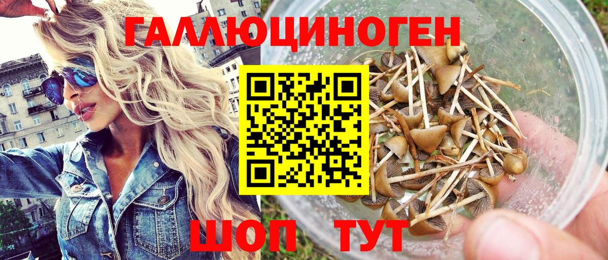 Тулун  Галлюциногенные грибы Cubensis  Псилоцибиновые грибы мухоморы  Вход с VPN 