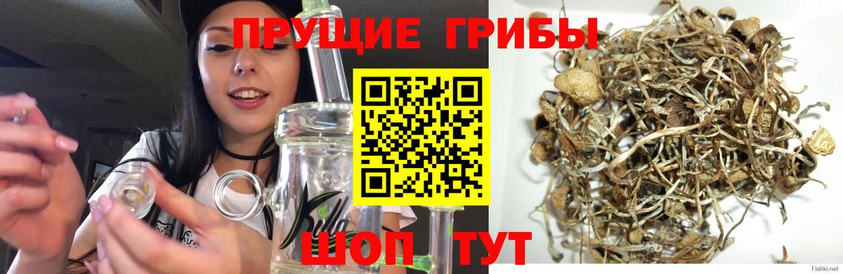 Галлюциногенные грибы GOLDEN TEACHER Тулун
